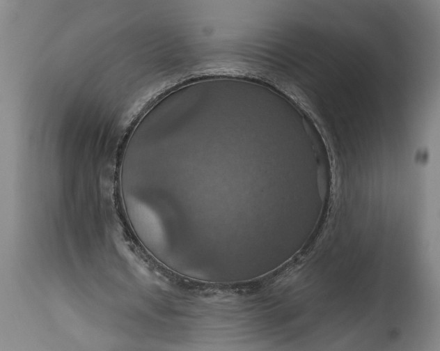 X0000115450434200911181551