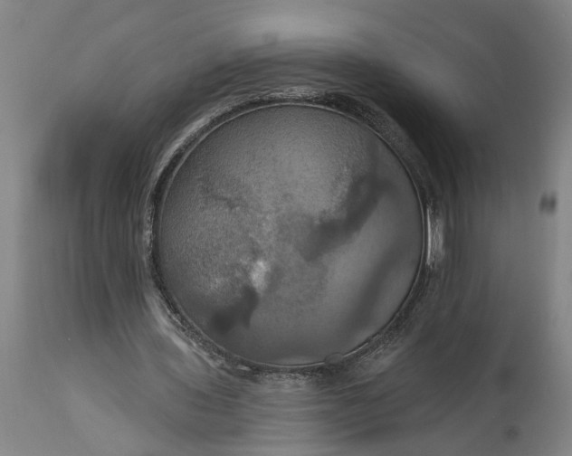 X0000115450435200911181551