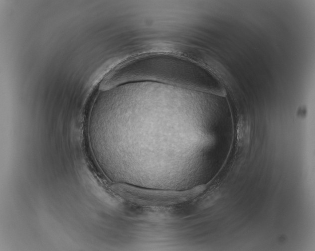 X0000115450436200911181551