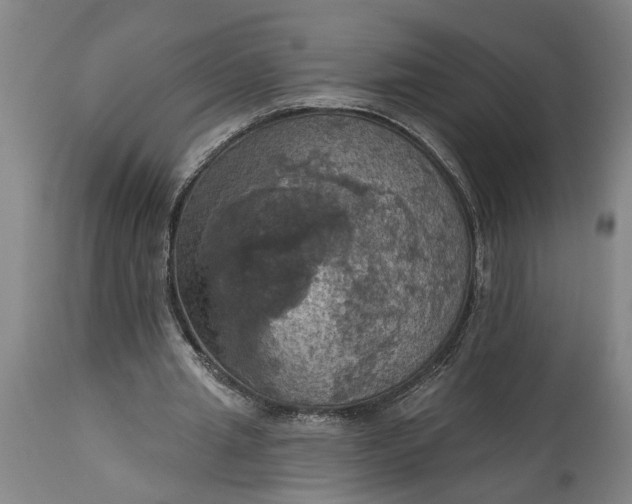 X0000115450437200911181551