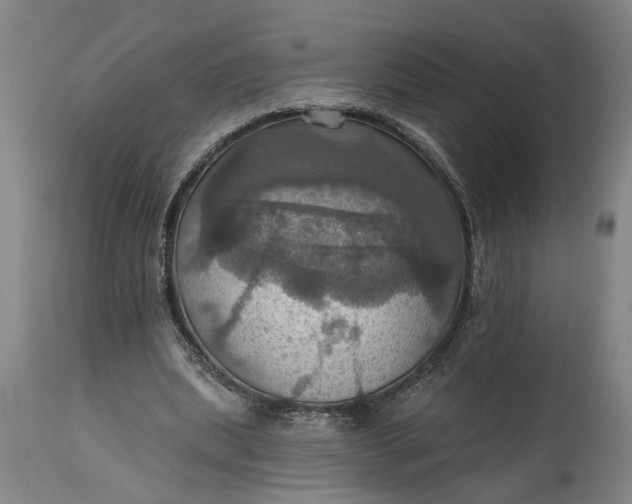 X0000115450439200911181551