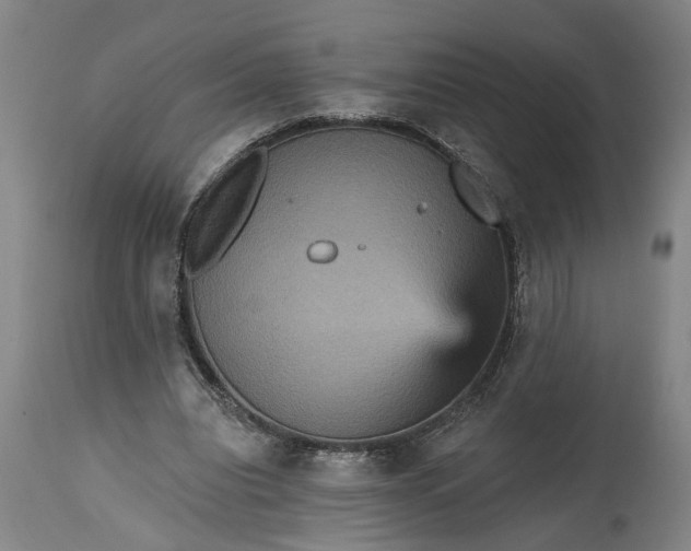 X0000115450440200911181551