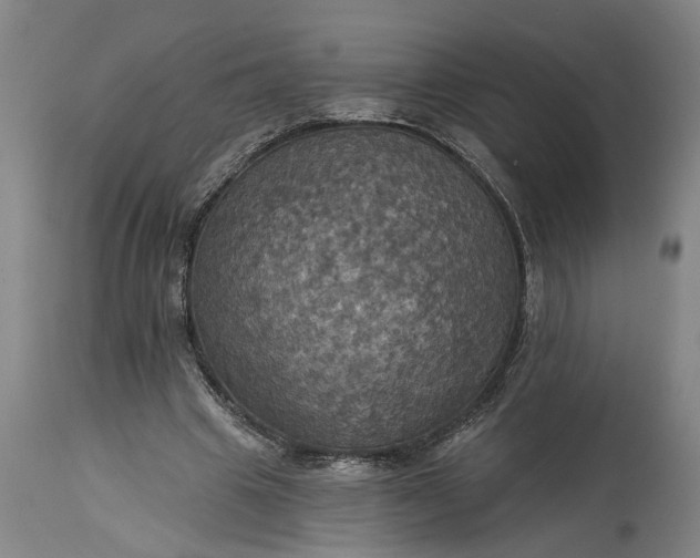 X0000115450441200911181551