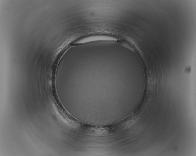 X0000115450443200911181551