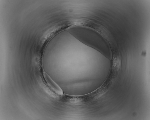 X0000115450444200911181551