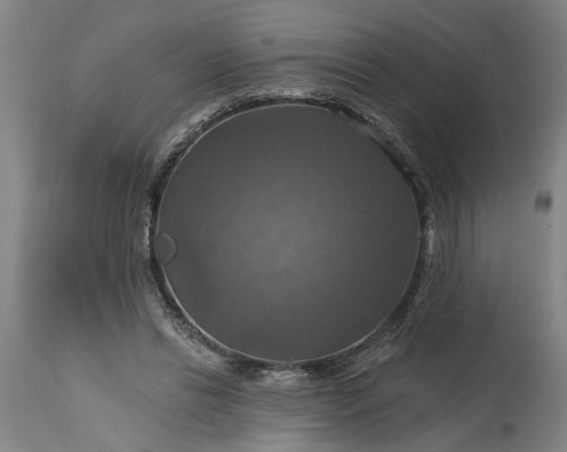 X0000115450446200911181551