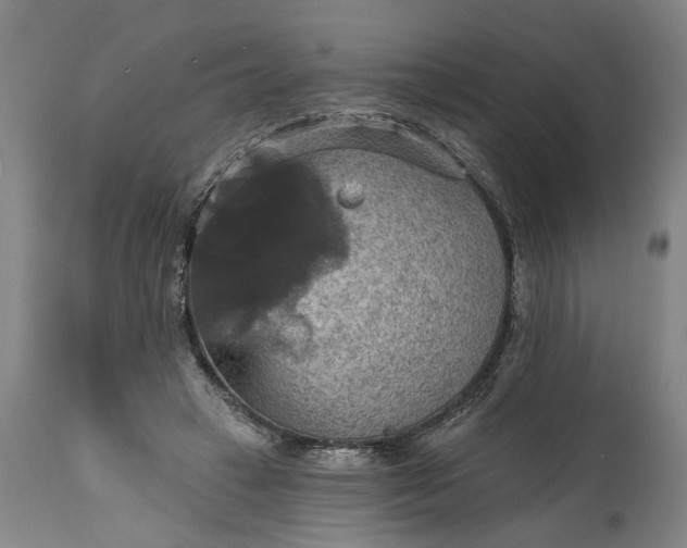 X0000115450449200911181551