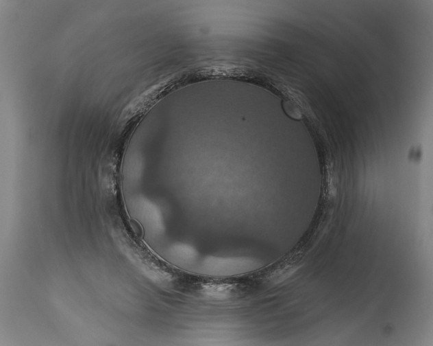 X0000115450450200911181551