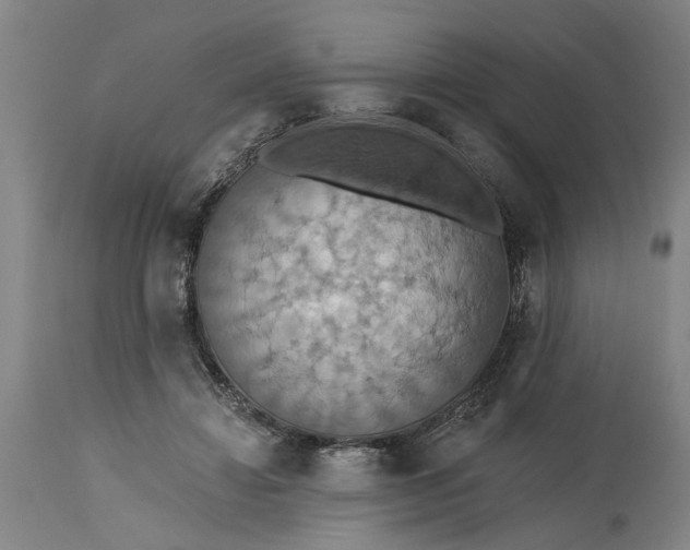 X0000115450452200911181551