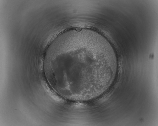 X0000115450453200911181551