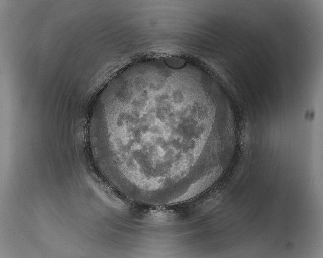 X0000115450455200911181551