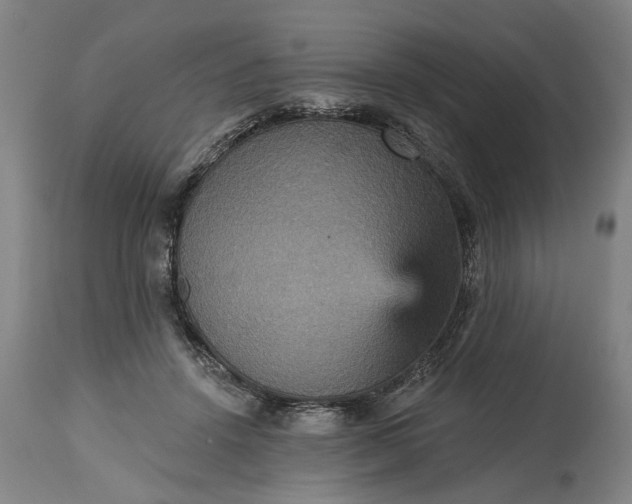 X0000115450456200911181551