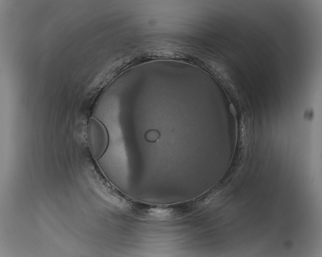 X0000115450457200911181551