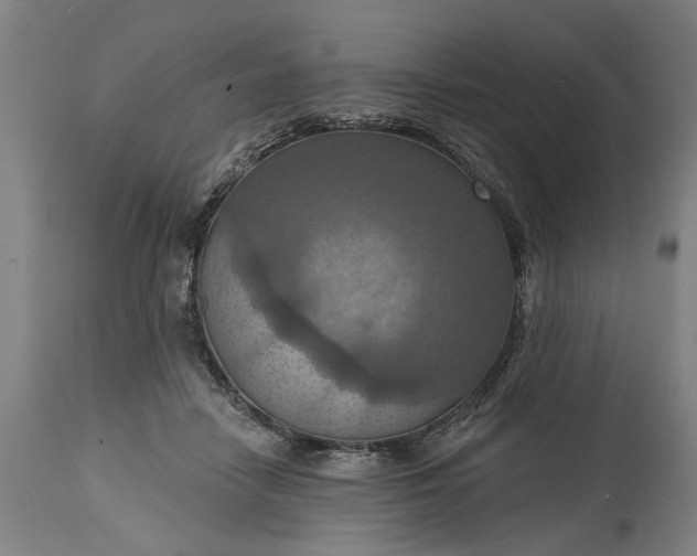 X0000115450458200911181551