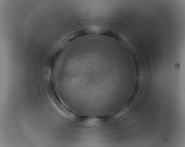 X0000115450459200911181551