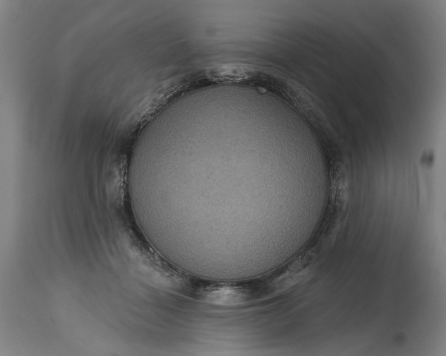 X0000115450460200911181551