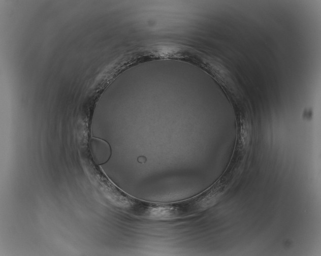 X0000115450461200911181551