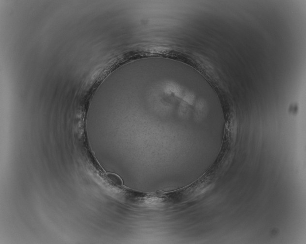 X0000115450462200911181551