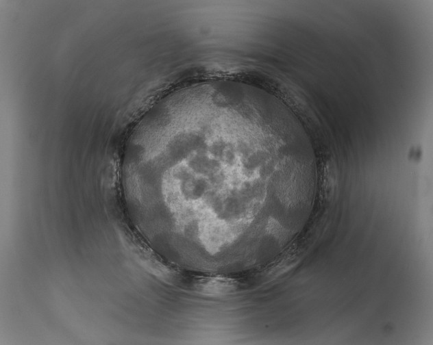 X0000115450463200911181551