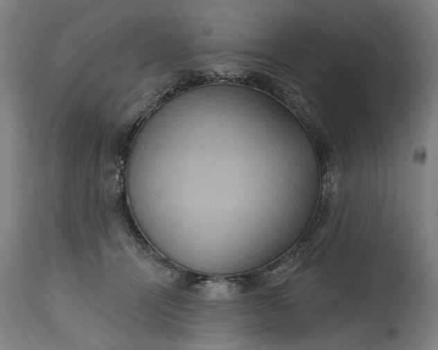 X0000115450464200911181551