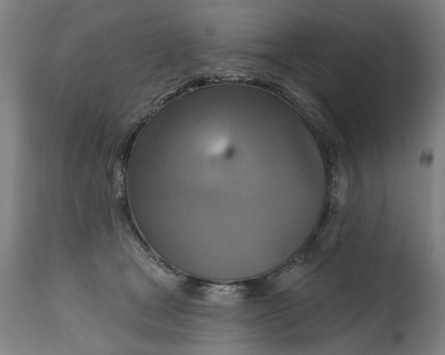 X0000115450465200911181551