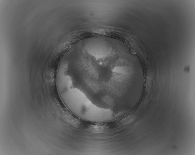 X0000115450466200911181551