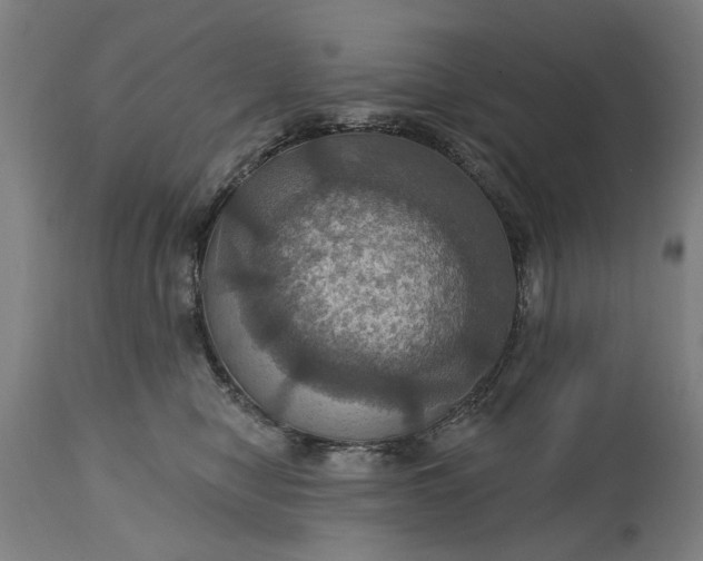 X0000115450470200911181551