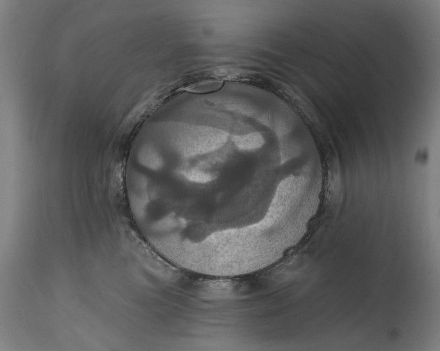 X0000115450473200911181551