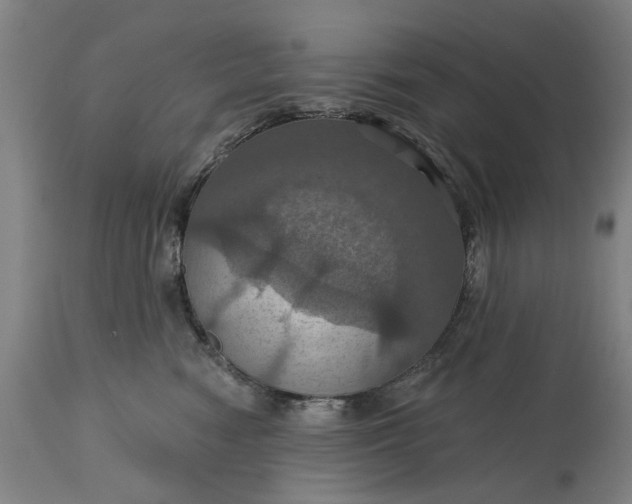 X0000115450474200911181551