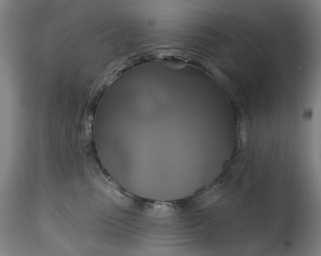 X0000115450475200911181551