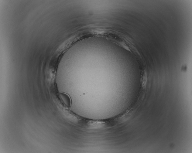 X0000115450476200911181551