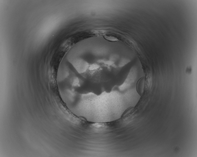 X0000115450477200911181551