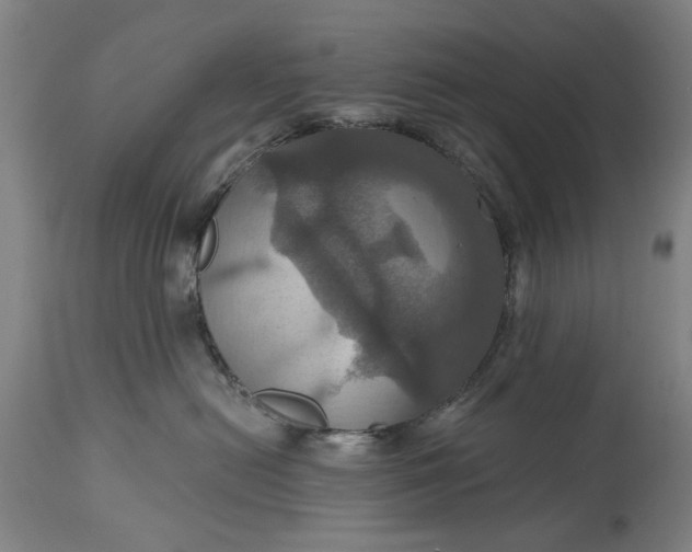 X0000115450478200911181551