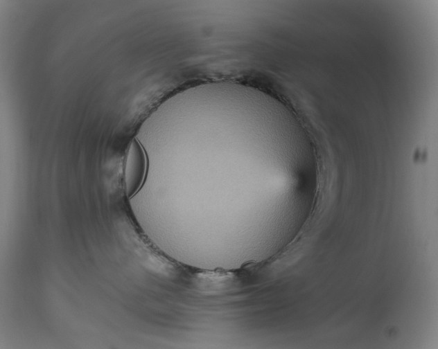 X0000115450480200911181551