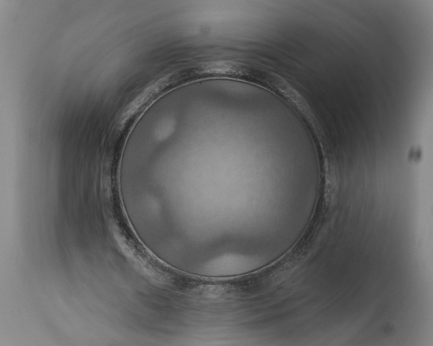 X0000115450482200911181550