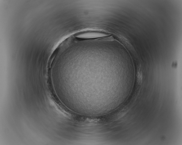 X0000115450484200911181550