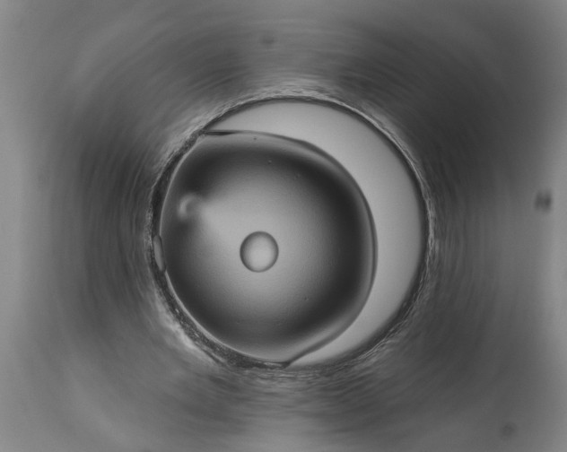 X0000115450485200911181550