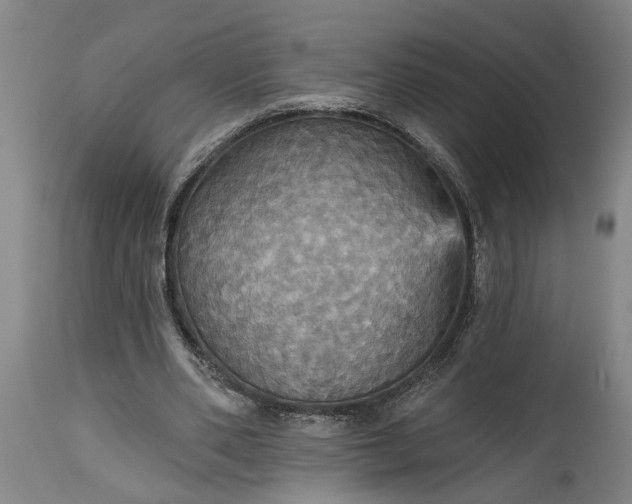 X0000115450486200911181550