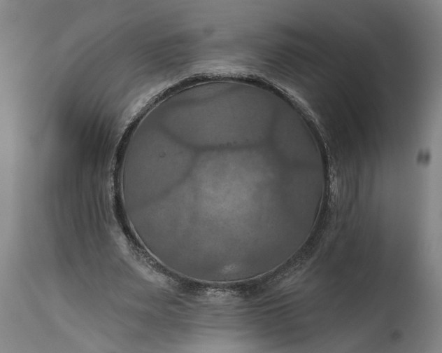 X0000115450487200911181550