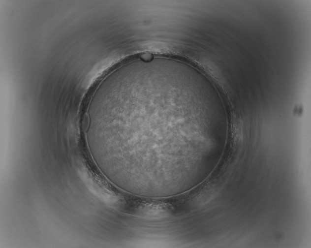 X0000115450488200911181550