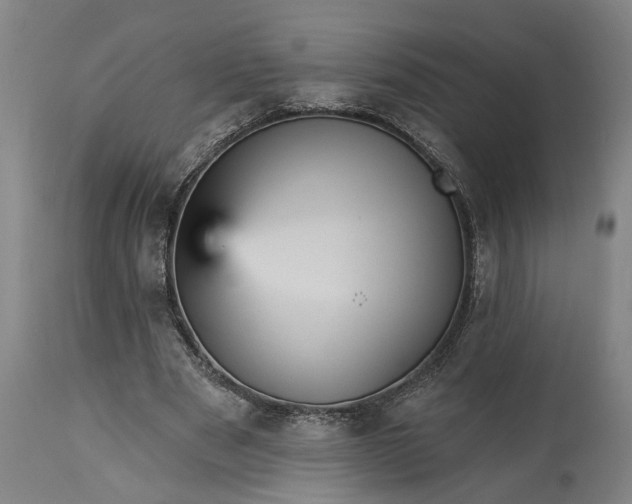 X0000115450489200911181550