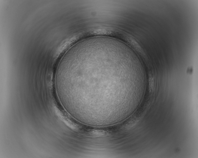 X0000115450490200911181550