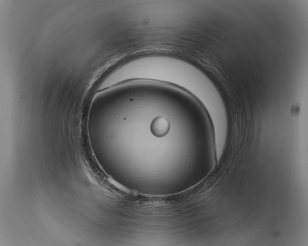 X0000115450492200911181550