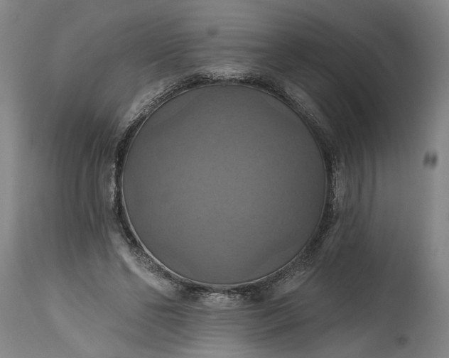 X0000115450494200911181550