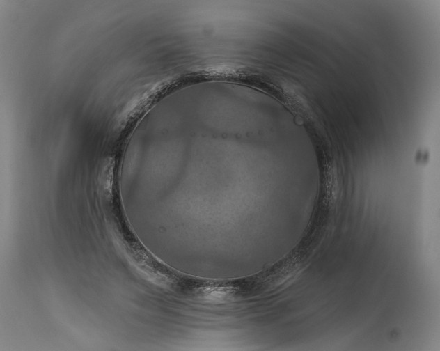 X0000115450495200911181550