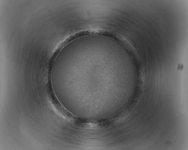 X0000115450496200911181550