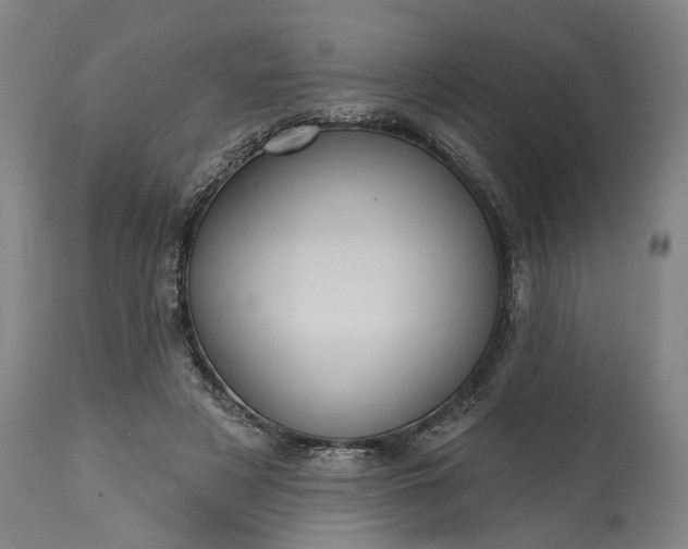 X0000115450497200911181550