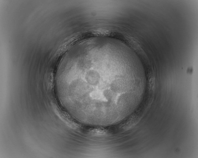 X0000115450498200911181550