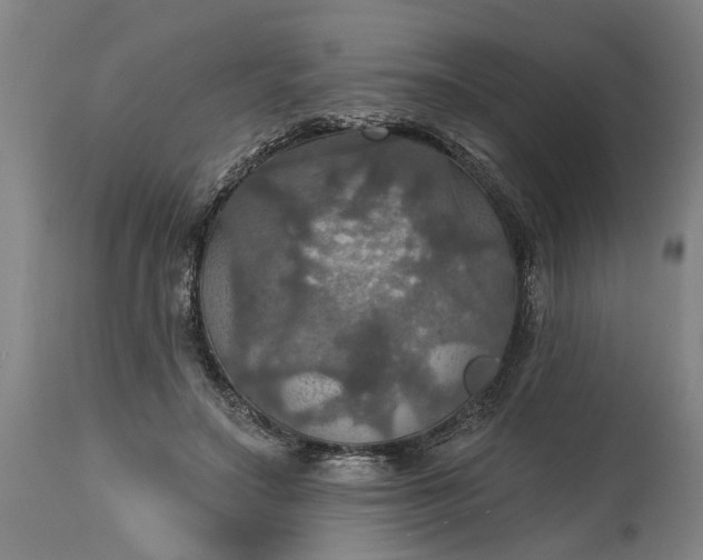 X0000115450499200911181550