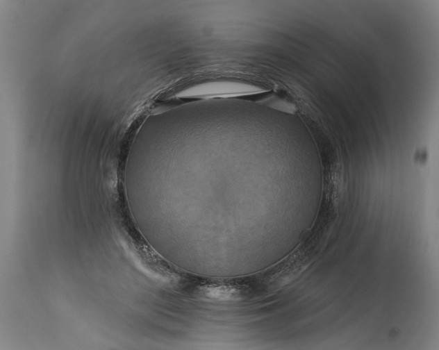 X0000115450500200911181550